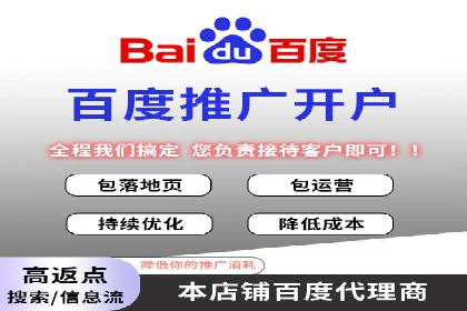 百度竞价赚钱秘诀：实战案例分析